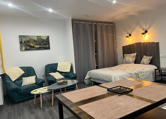 公寓 Le Cocondor - Design Soigne Et Parking Facile